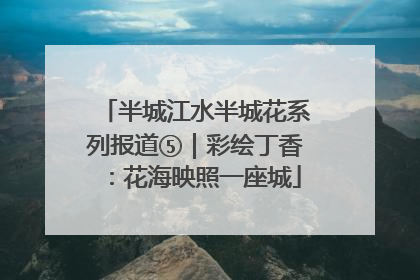 半城江水半城花系列报道⑤｜彩绘丁香：花海映照一座城